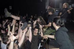 interview Infest (FRA-1)